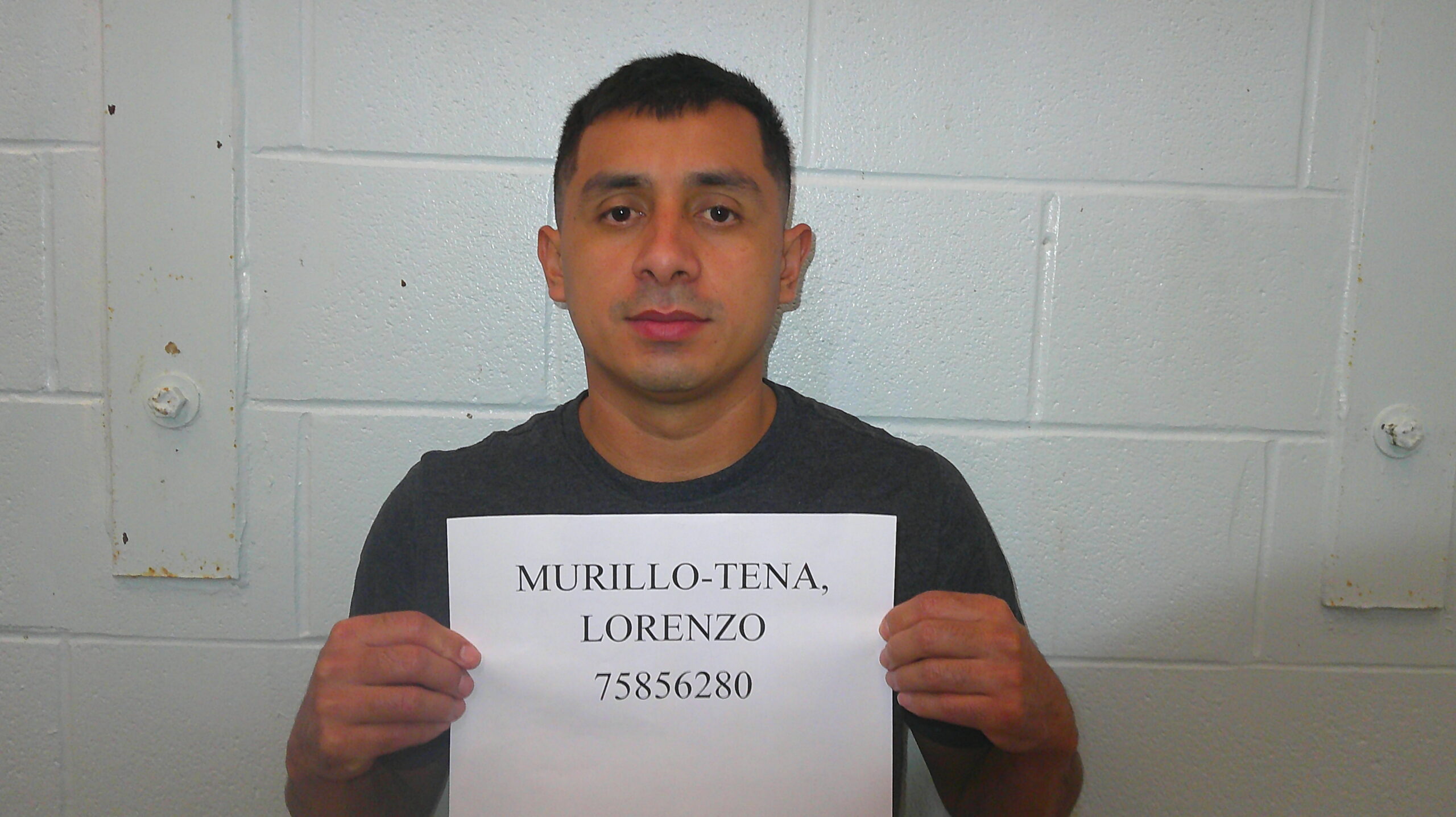 MURILLO-TENA, LORENZO booking photo