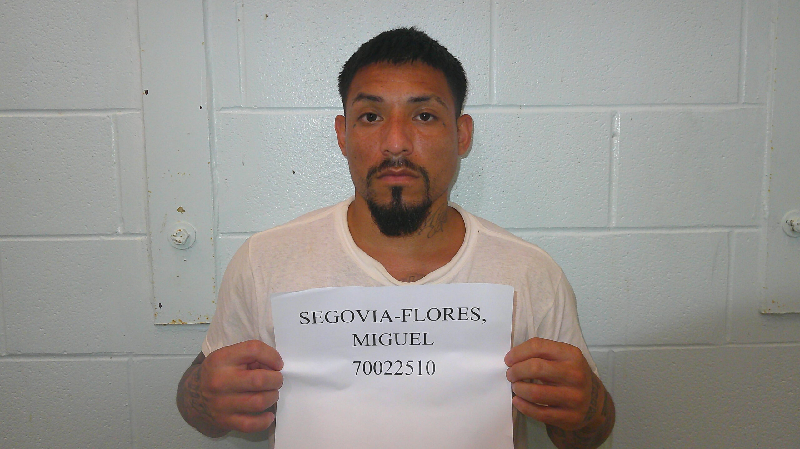 SEGOVIA-FLORES, MIGUEL booking photo