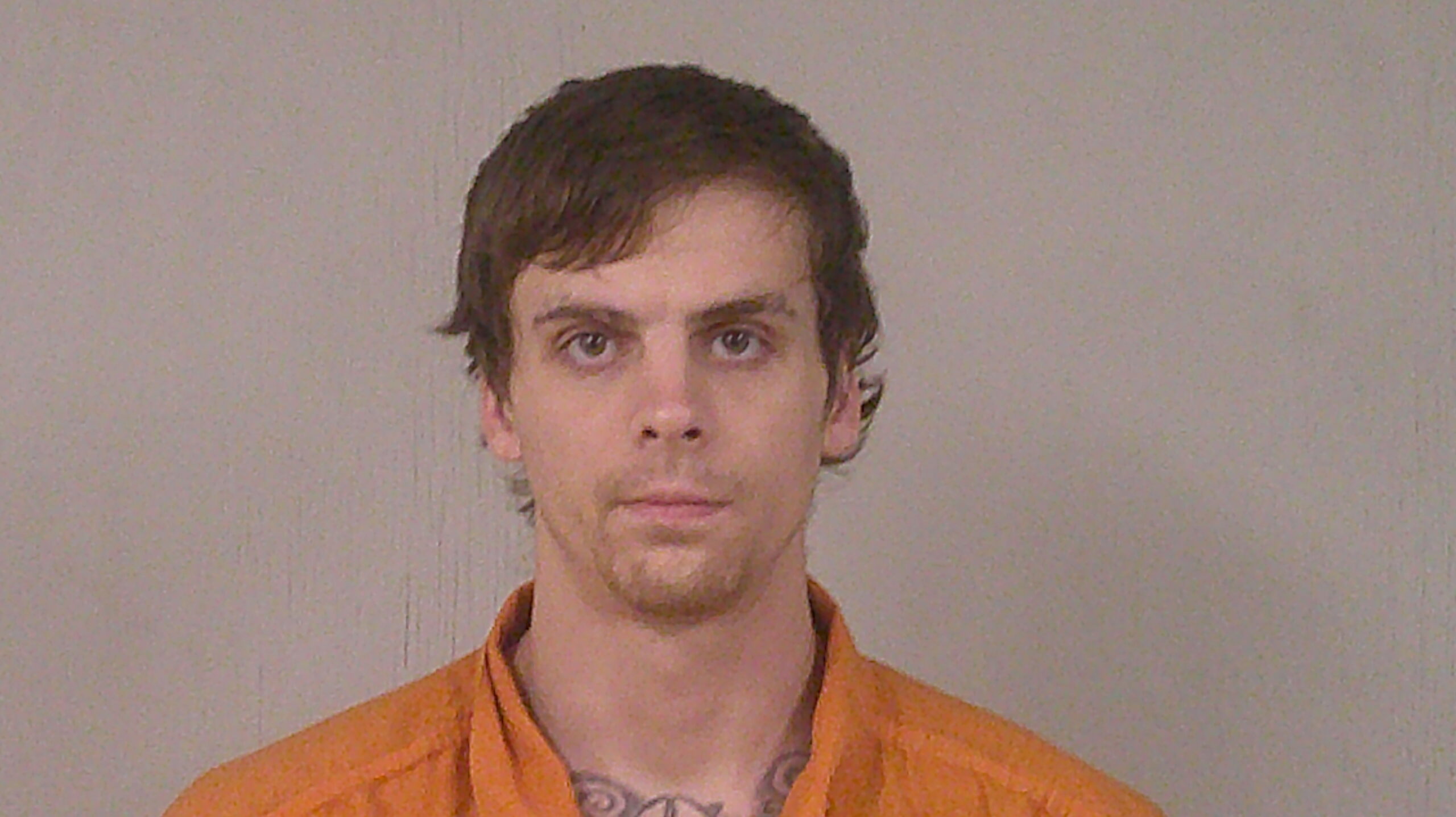 DAVY, TYLER SHANE booking photo