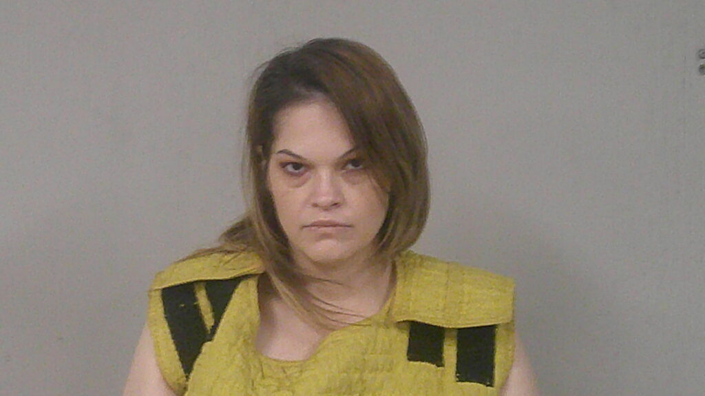 GUNNELS, SAMMI RENEE arrest record in Burnet County, Texas GUNNELS, SAMMI RENEE arrested in Burnet County, Texas mugshot