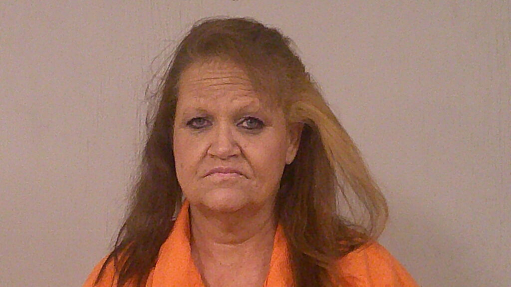 LONG, CAROL LYNN arrest record in Burnet County, Texas LONG, CAROL LYNN arrested in Burnet County, Texas mugshot