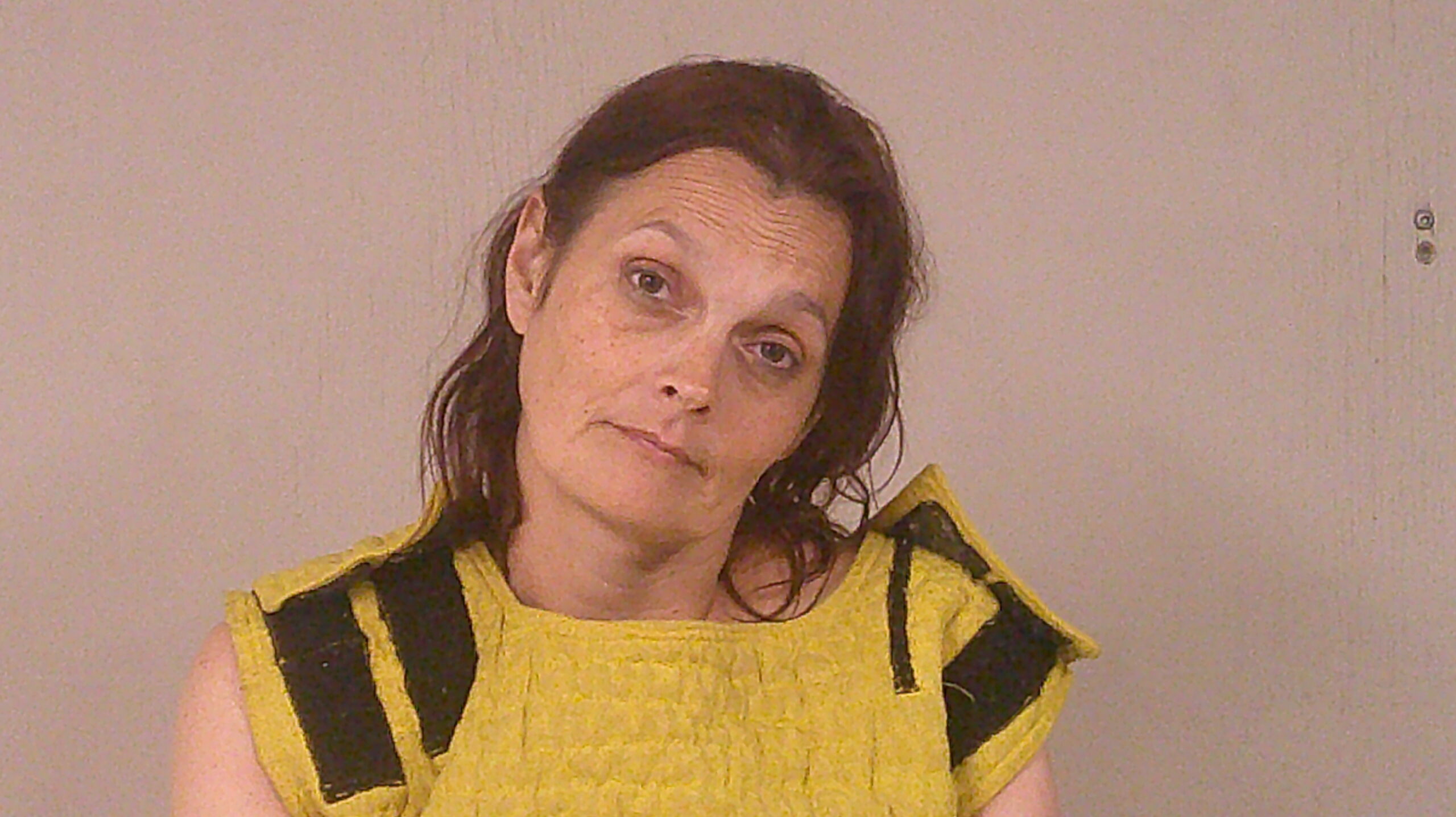 SCHLOSSER, NICOLE MICHAELA booking photo