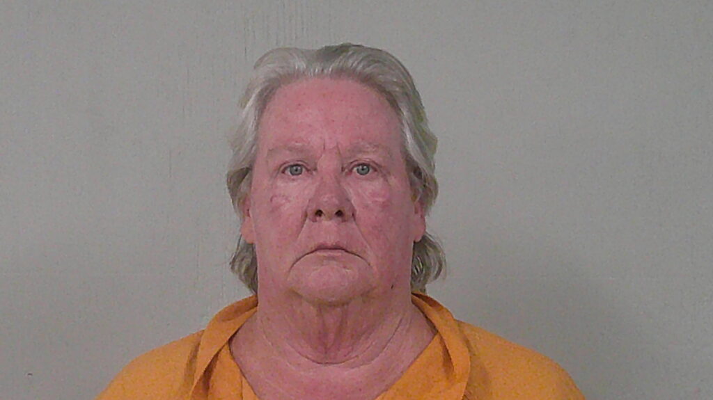 NEWLIN, ANNA LORINE arrest record in Burnet County, Texas NEWLIN, ANNA LORINE arrested in Burnet County, Texas mugshot