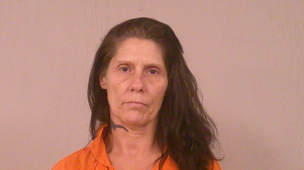 BILBREY, SUZETTE LOUISE arrest record in Burnet County, Texas BILBREY, SUZETTE LOUISE arrested in Burnet County, Texas mugshot