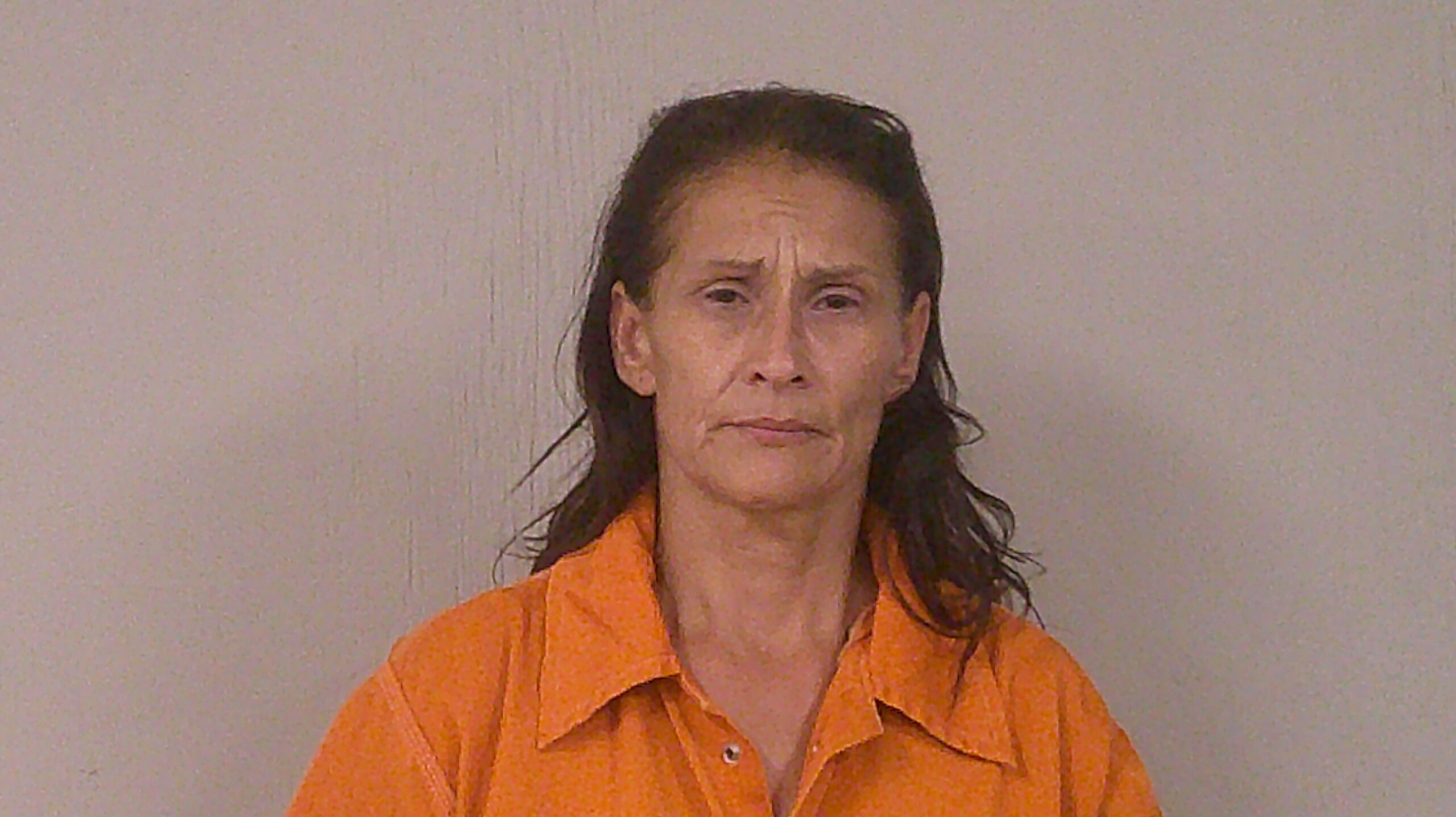 HINOJOSA, LISA ARREDONDO booking photo