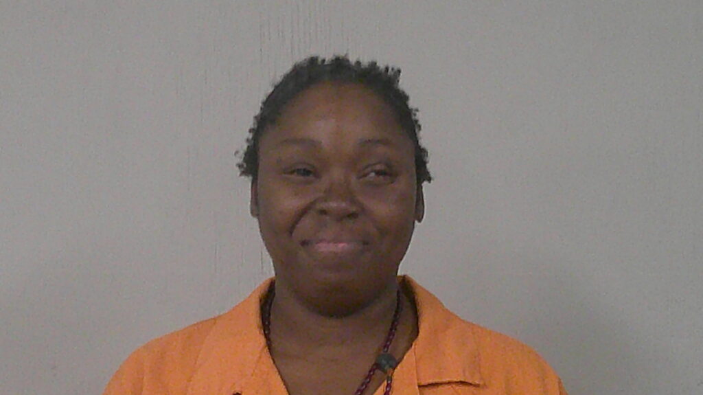LEE, DANA CRYSTINA arrest record in Burnet County, Texas LEE, DANA CRYSTINA arrested in Burnet County, Texas mugshot
