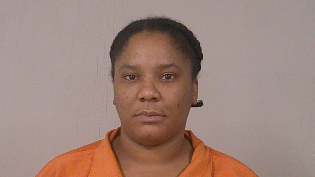 HOPWOODS, RENEE MICHELLE arrest record in Burnet County, Texas HOPWOODS, RENEE MICHELLE arrested in Burnet County, Texas mugshot