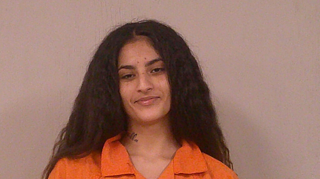 REYNA, ANGELITA NICOLE arrest record in Burnet County, Texas REYNA, ANGELITA NICOLE arrested in Burnet County, Texas mugshot