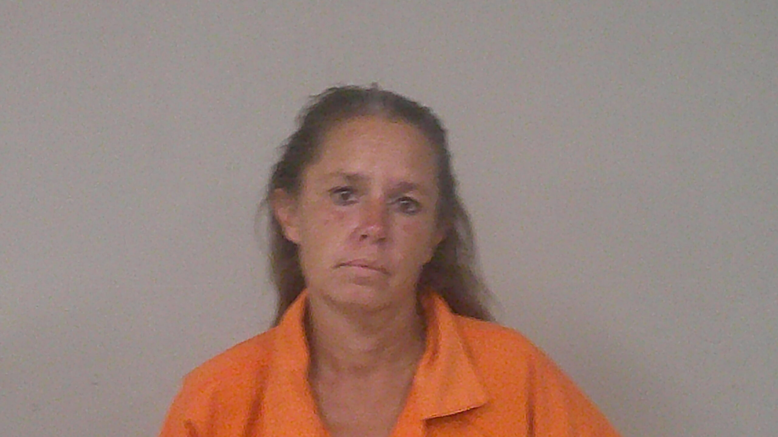 MARTINEZ, JENNIFER DIANNE arrested by Burnet Police Department