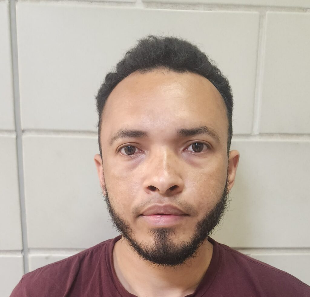 CASTRO-ZELAYA, NELSON arrested in Burnet County, Texas mugshot