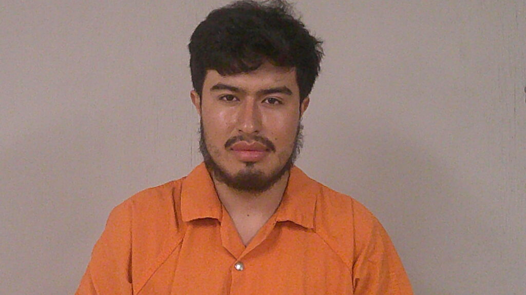 MEJIA-MENDOZA, DAVID booking photo