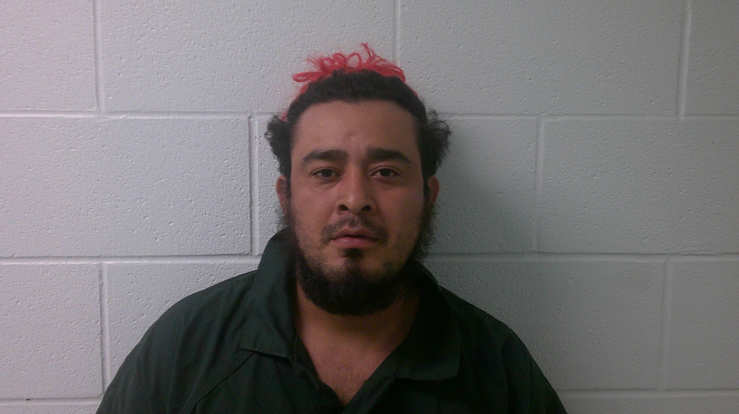 HERNANDEZ-CARCAMO, LUIS arrested by Immigration and Customs Enforcement