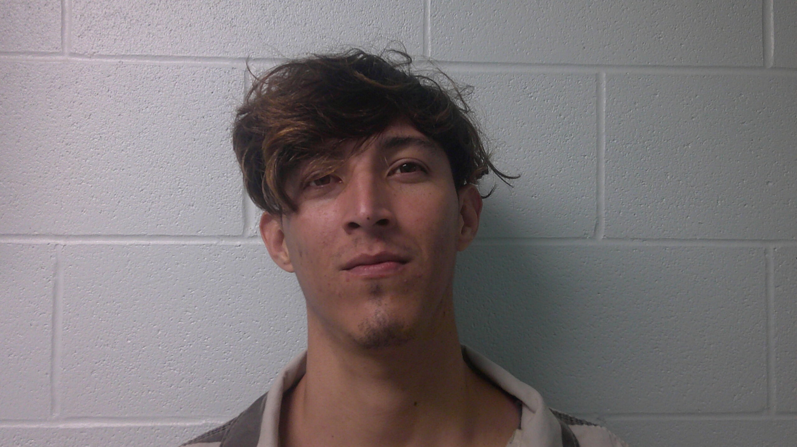 MICHAL-JULIAN, CRISTOFER arrested by Immigration and Customs Enforcement