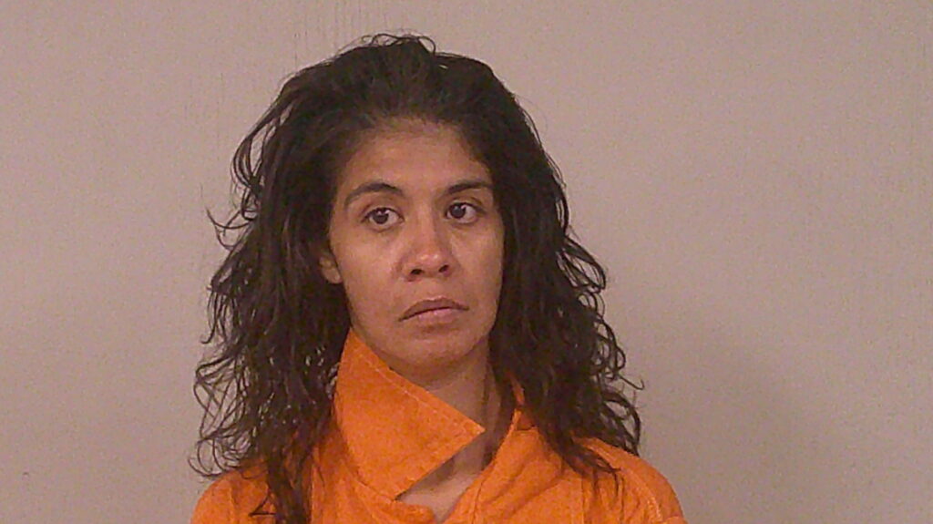GARZA, TINA MARIE arrest record in Burnet County, Texas GARZA, TINA MARIE arrested in Burnet County, Texas mugshot