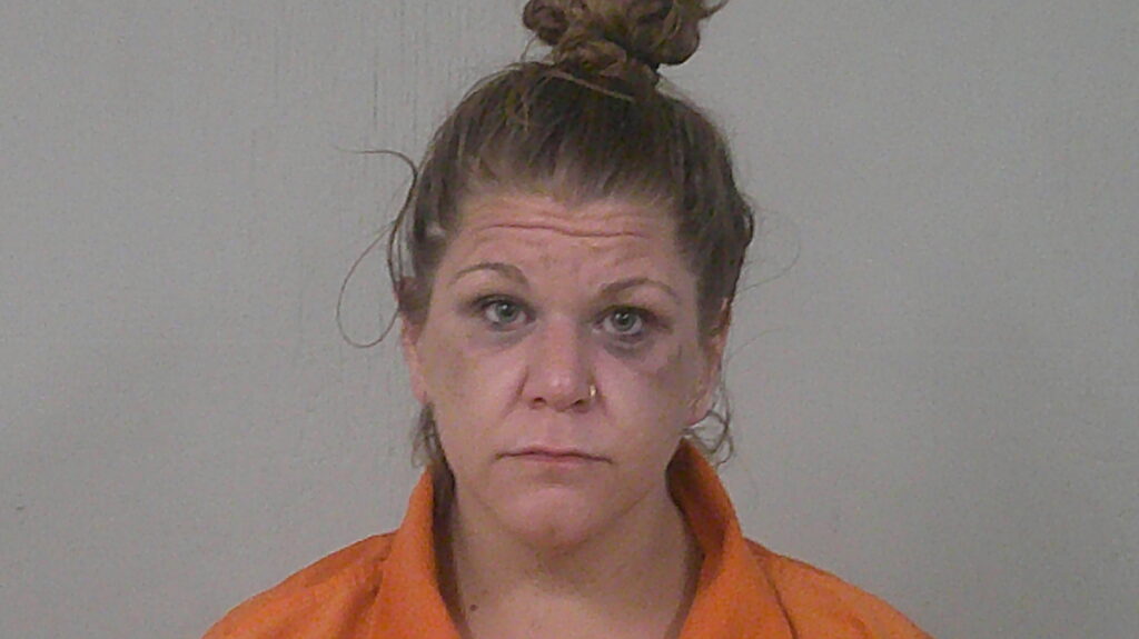 JOHNSON, JOHNNA DENAY arrest record in Burnet County, Texas JOHNSON, JOHNNA DENAY arrested in Burnet County, Texas mugshot