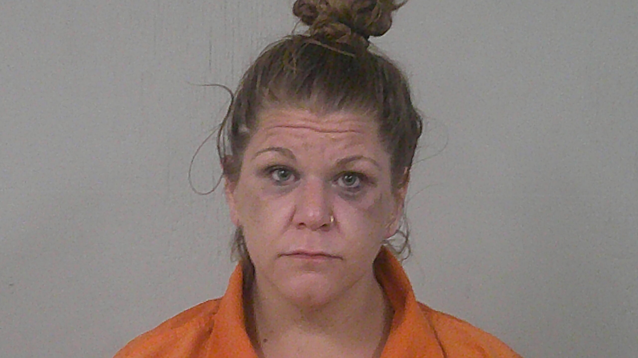 JOHNSON, JOHNNA DENAY booking photo