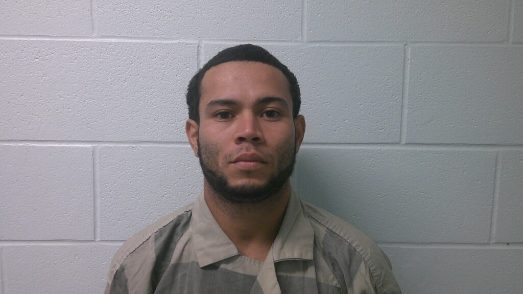 CASTILLO-MARTINEZ, HENRY arrest record in Burnet County, Texas CASTILLO-MARTINEZ, HENRY arrested in Burnet County, Texas mugshot