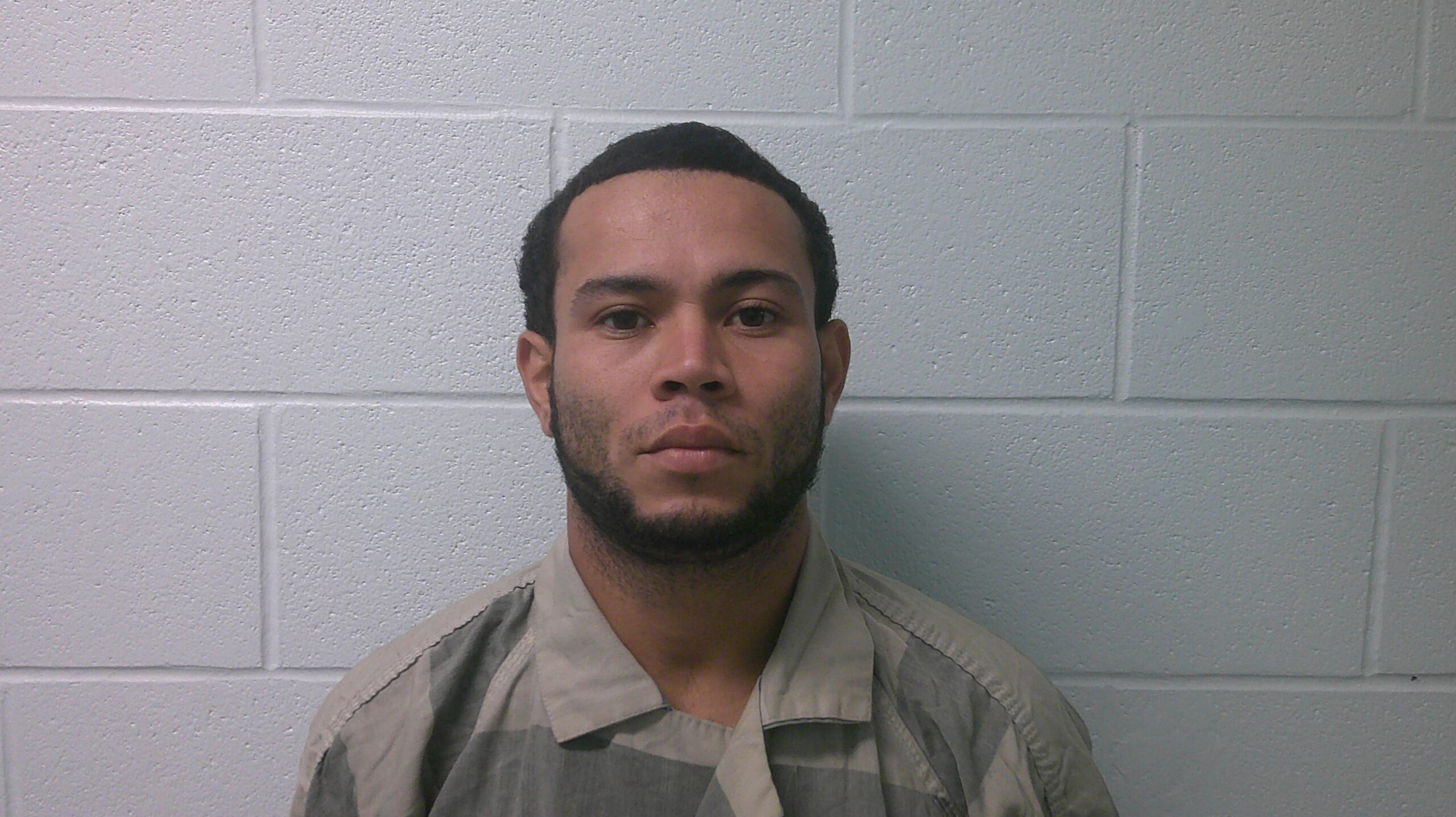 CASTILLO-MARTINEZ, HENRY booking photo