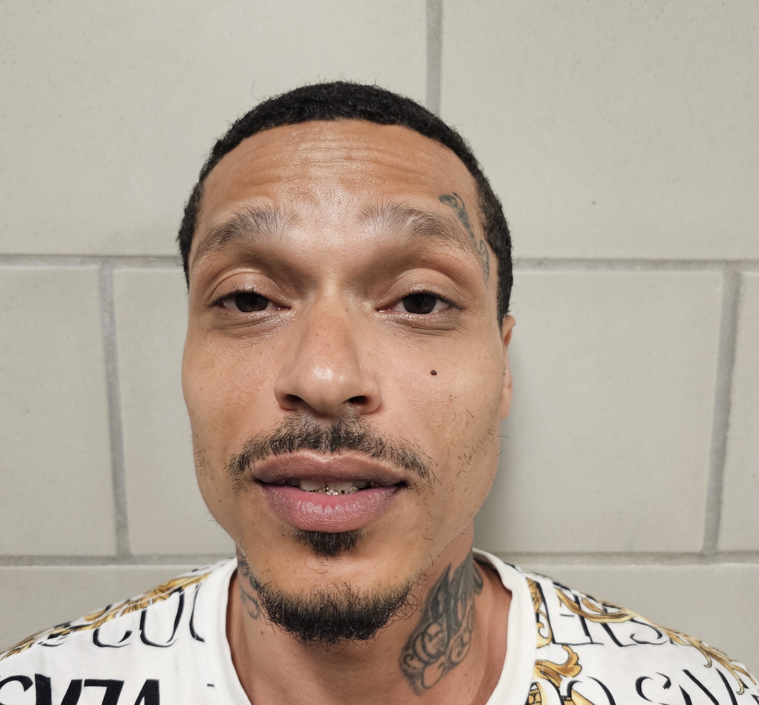 BROWN, PHILLIP booking photo