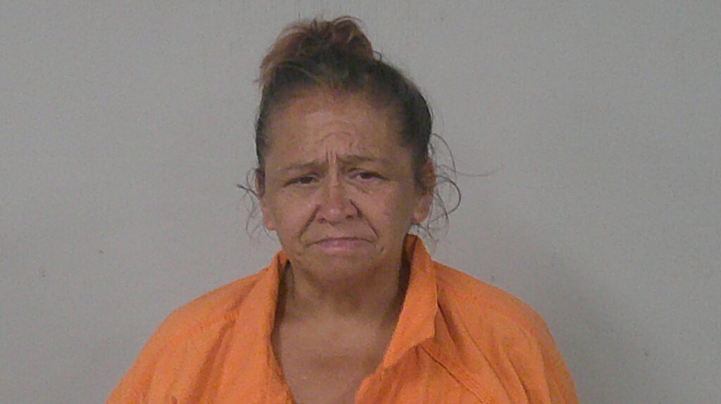 HERNANDEZ, MICHELLE ANN arrest record in Burnet County, Texas HERNANDEZ, MICHELLE ANN arrested in Burnet County, Texas mugshot