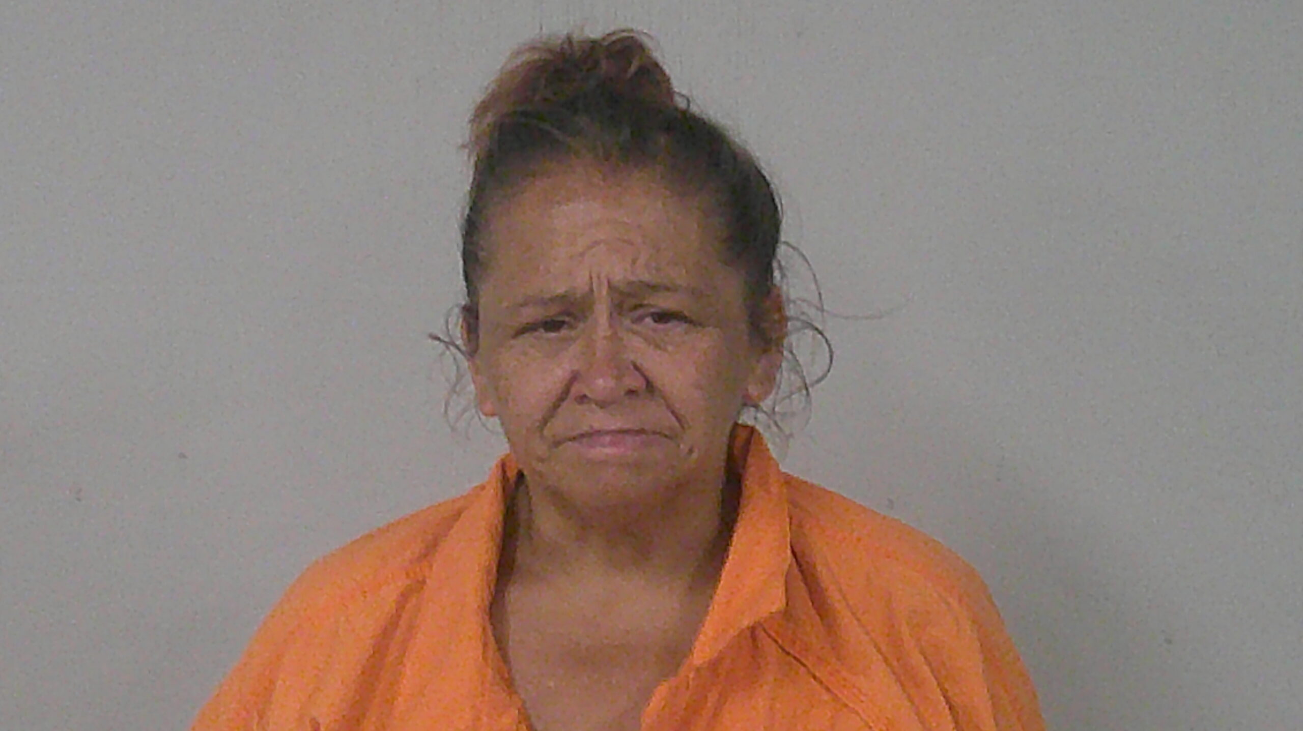 HERNANDEZ, MICHELLE ANN arrested by Burnet Police Department