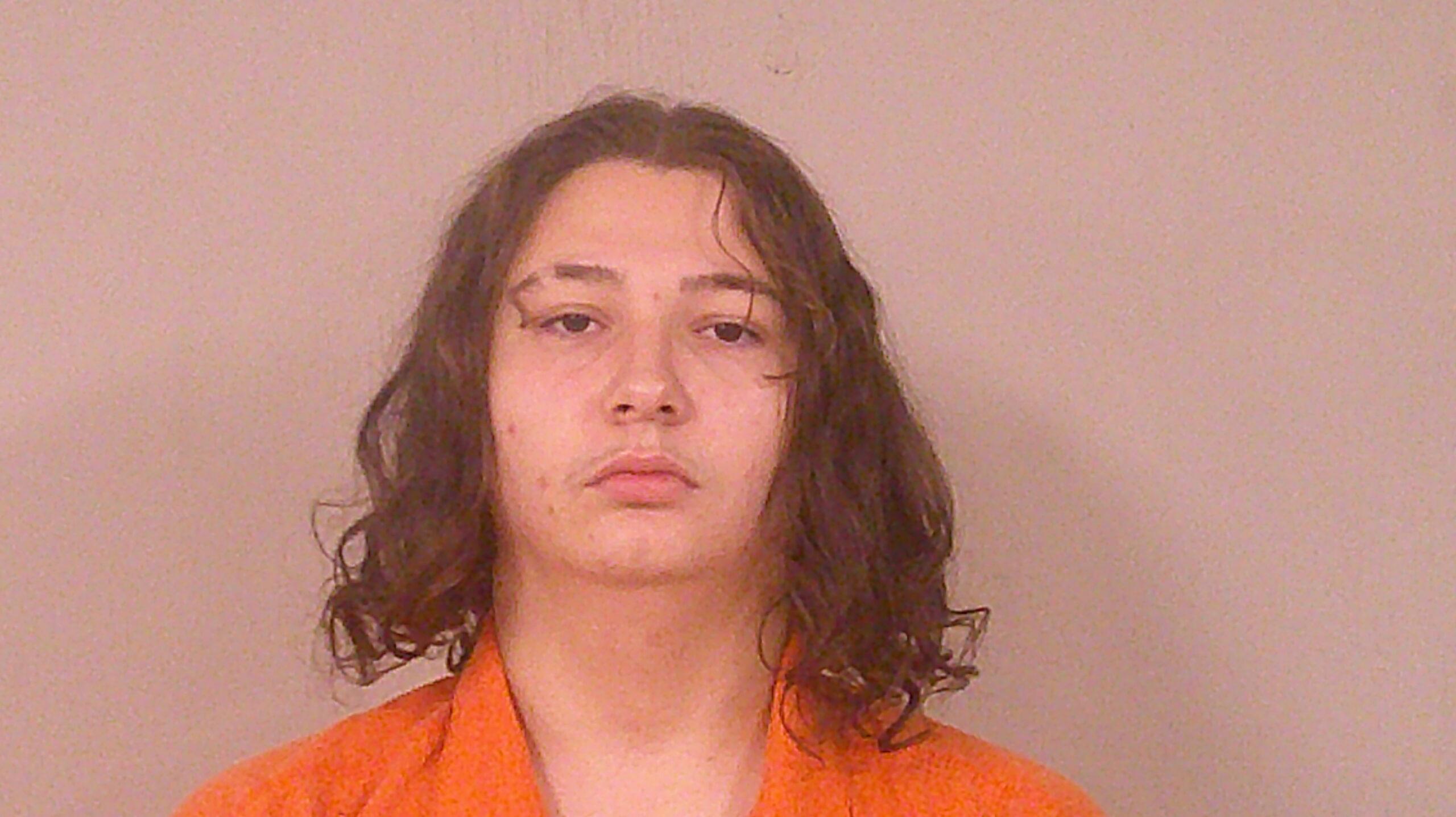 WILLIAMS, STONE DAVIS booking photo