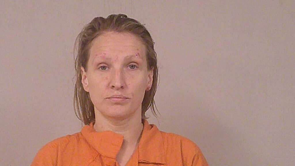 FUNDERBURK, BRITTNEY ELISA booking photo