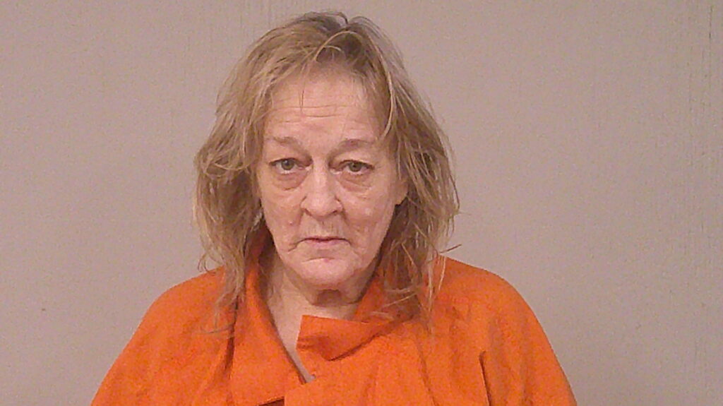 VILCHIS, DANA MICHELE booking photo