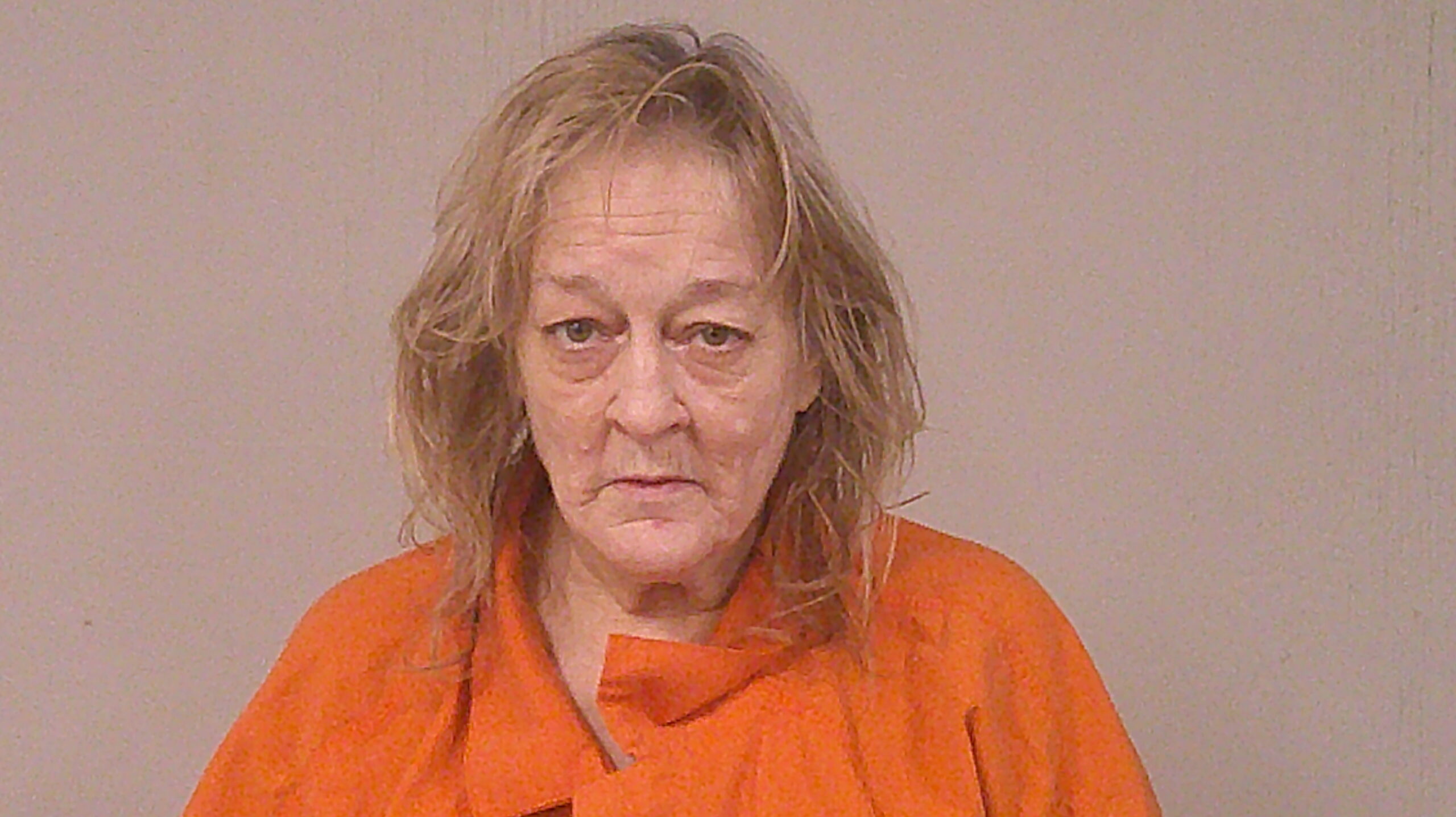 VILCHIS, DANA MICHELE booking photo