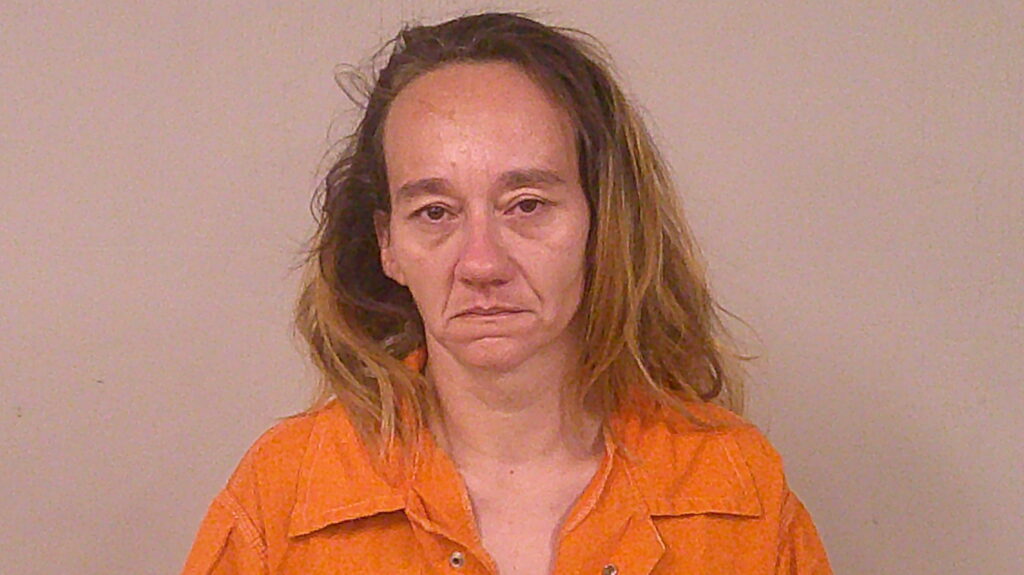 FREEBY, SAMANTHA MARIE booking photo