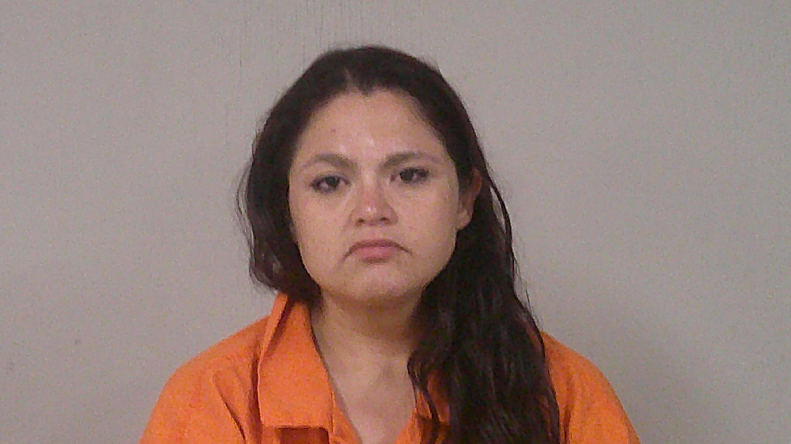 VALDEZ, JULIE DYAN booking photo