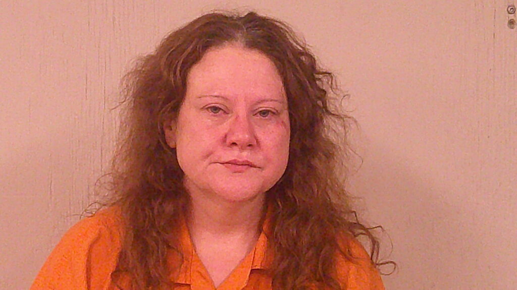 SCHNITZLER, RACHEL LYNN booking photo
