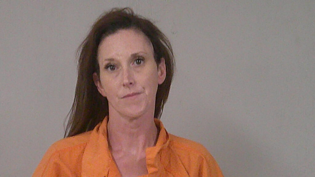 SCHULTE, SARA DIANE arrested in Burnet County, Texas mugshot