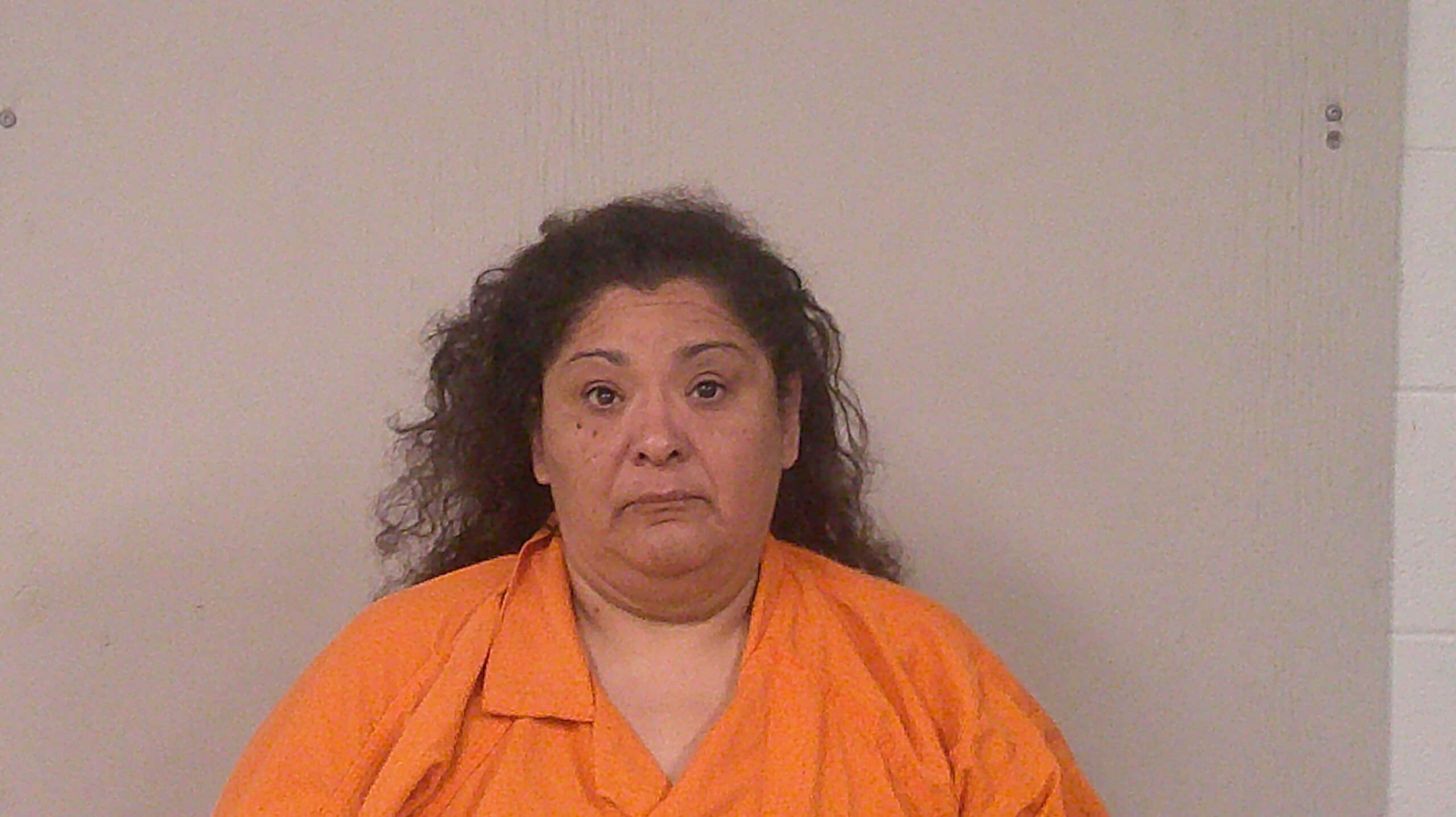 BALL, TEARSA ANN arrested by Burnet County Sheriff’s Office