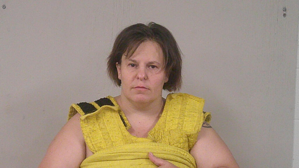 HAGGERTON, JANICE LEIGHANN arrested in Burnet County, Texas mugshot