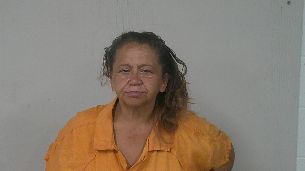 HERNANDEZ, MICHELLE ANN arrested in Burnet County, Texas mugshot