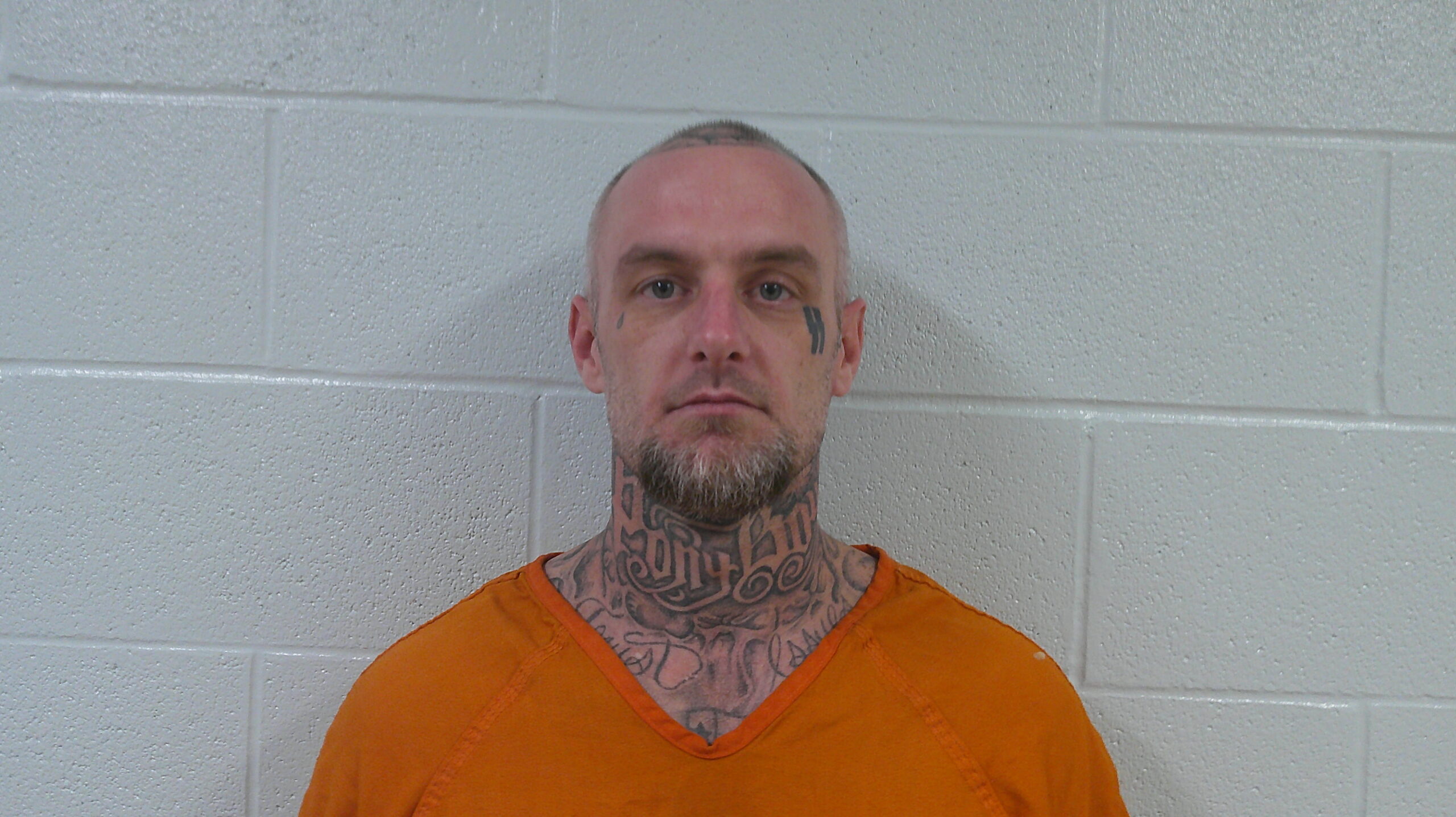 INGRAM, DAVID booking photo