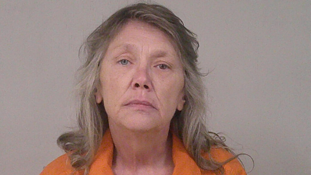 BREWER, RENEE LYNN booking photo