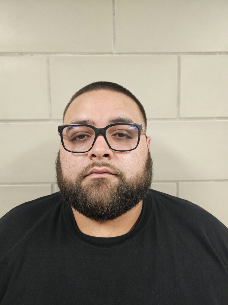 NAVARRO, LOUIS booking photo