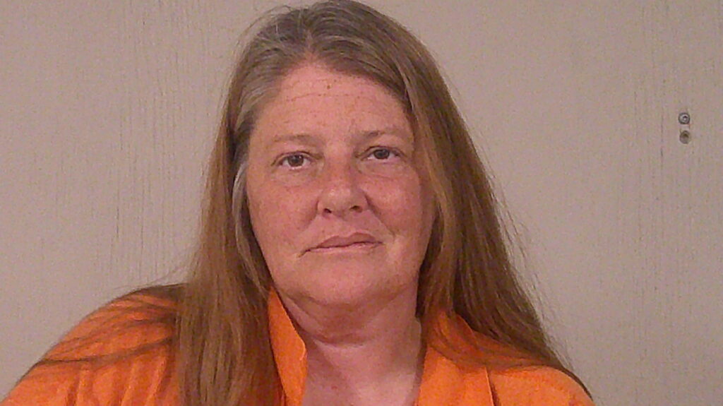 MILNER, ANDREA LEIGH arrest record in Burnet County, Texas MILNER, ANDREA LEIGH arrested in Burnet County, Texas mugshot