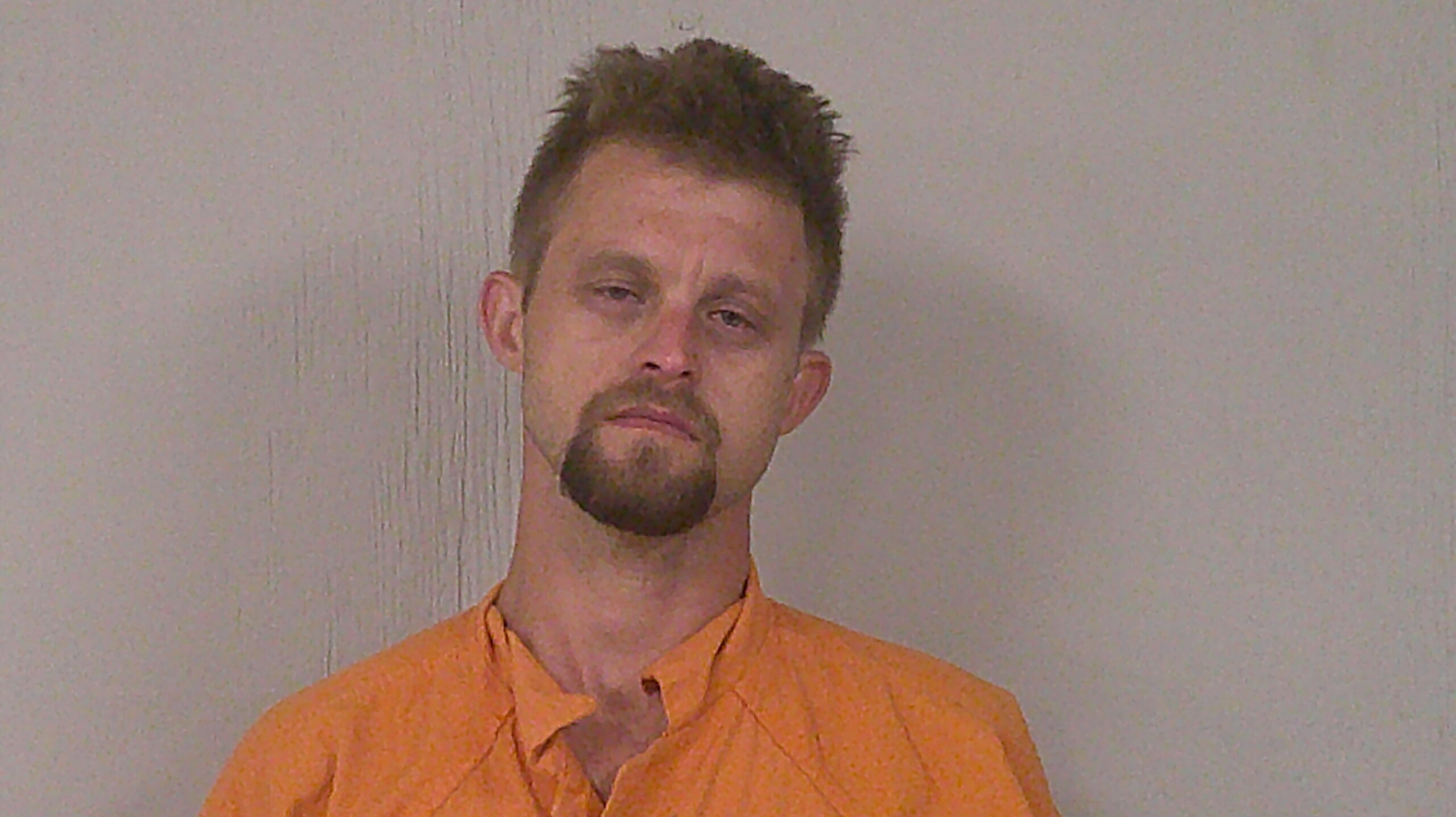 WALLACE, CHAD WAYNE arrested by Bertram Police Department