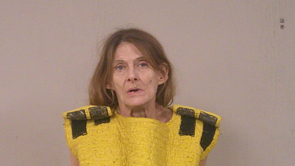 JESSUP, LINDA JO arrest record in Burnet County, Texas JESSUP, LINDA JO arrested in Burnet County, Texas mugshot
