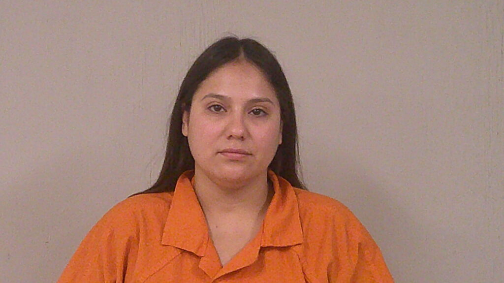 FLORES, KARINA ISABEL arrest record in Burnet County, Texas FLORES, KARINA ISABEL arrested in Burnet County, Texas mugshot