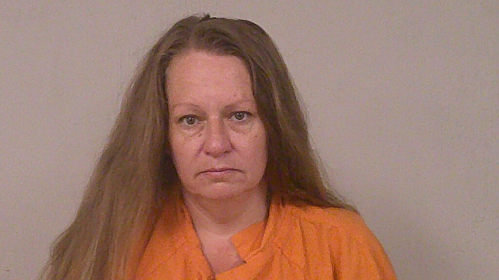WILSON, CARRISA LEAH arrest record in Burnet County, Texas WILSON, CARRISA LEAH arrested in Burnet County, Texas mugshot