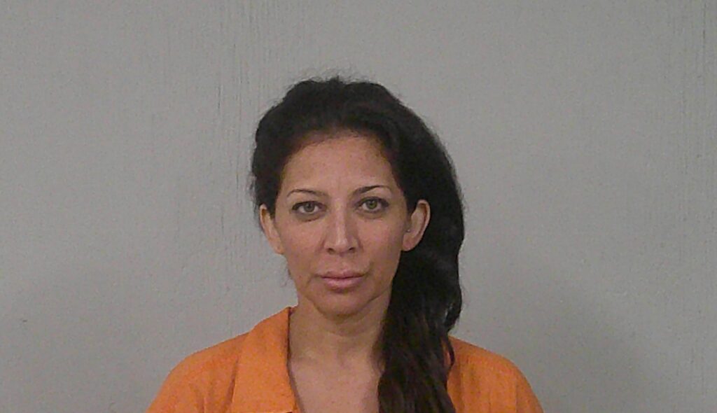 CHAVEZ, ANA LAURA arrested in Burnet County, Texas mugshot