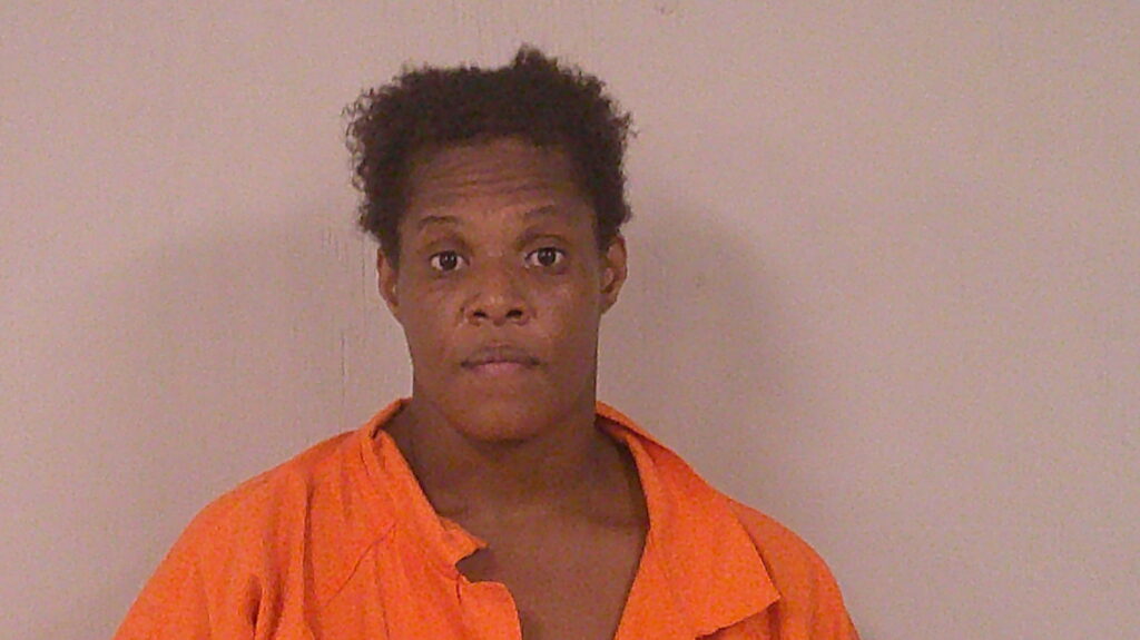 EDWARDS, MEAGON MARIE arrested in Burnet County, Texas mugshot