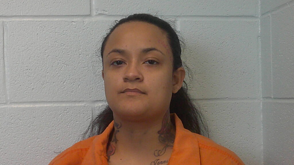 CASIAS, EMILEE KRISTINE arrested in Burnet County, Texas mugshot