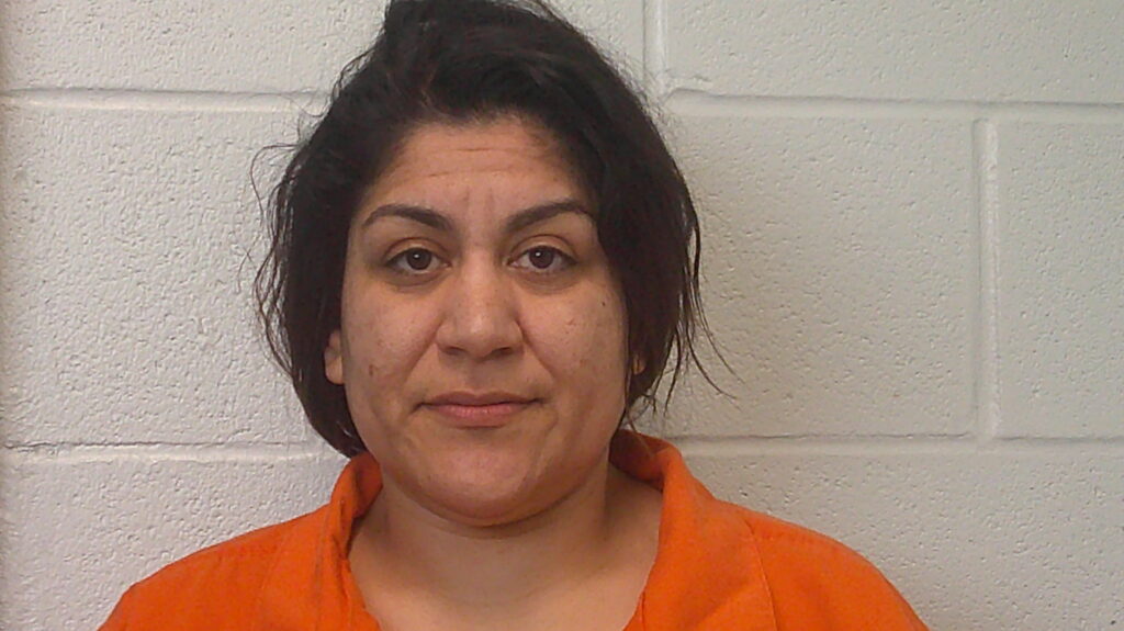 PORTILLO, SETAREH B arrested in Burnet County, Texas mugshot
