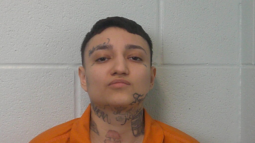 GARCIA, BRIANNA MARIE arrested in Burnet County, Texas mugshot