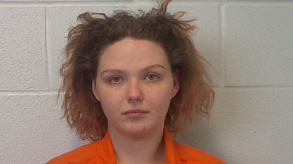 DE-SANTIAGO, ASHLYN MARIE arrested in Burnet County, Texas mugshot